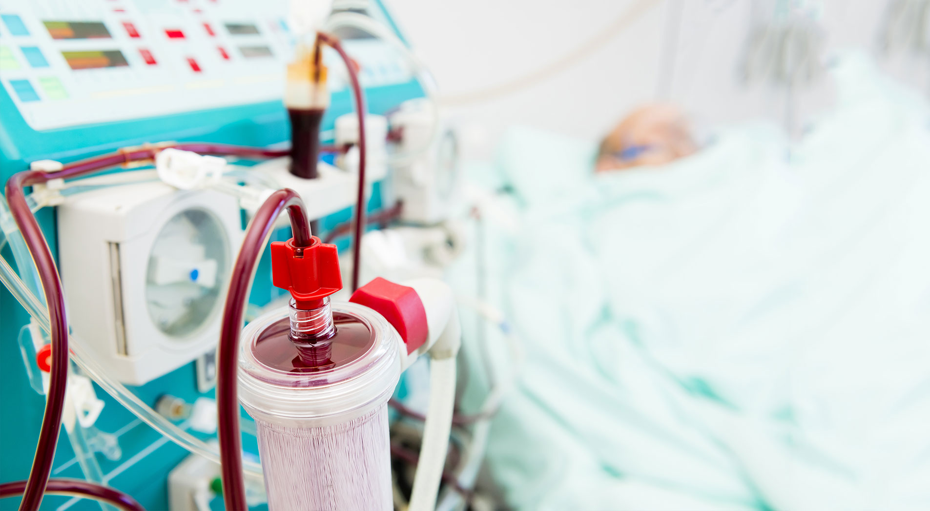  POST GRADUATE DIPLOMA IN MEDICAL LABORATORY TECHNOLOGY